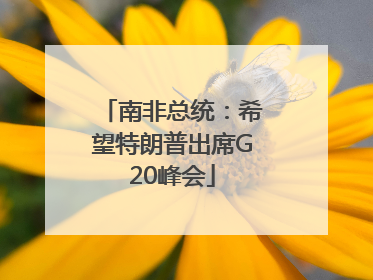 南非总统：希望特朗普出席G20峰会