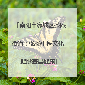 南阳市宛城区茶庵街道：弘扬中医文化 把脉基层健康
