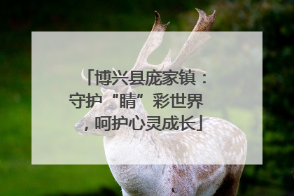 博兴县庞家镇：守护“睛”彩世界，呵护心灵成长