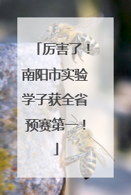 厉害了！南阳市实验学子获全省预赛第一！
