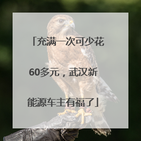 充满一次可少花60多元，武汉新能源车主有福了