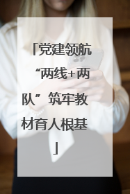 党建领航“两线+两队”筑牢教材育人根基