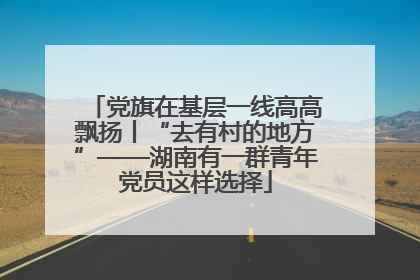 党旗在基层一线高高飘扬丨“去有村的地方”——湖南有一群青年党员这样选择