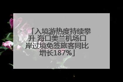 入境游热度持续攀升 海口美兰机场口岸过境免签旅客同比增长187%