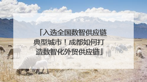 入选全国数智供应链典型城市！成都如何打造数智化外贸供应链