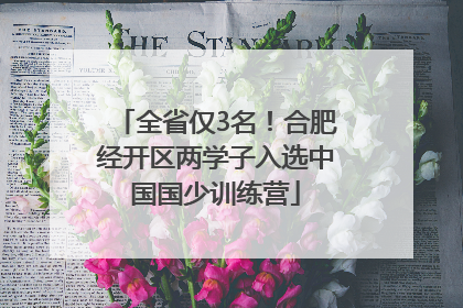 全省仅3名！合肥经开区两学子入选中国国少训练营