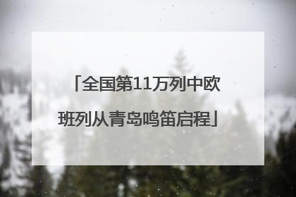 全国第11万列中欧班列从青岛鸣笛启程