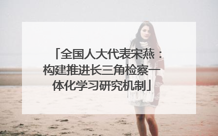 全国人大代表宋燕：构建推进长三角检察一体化学习研究机制