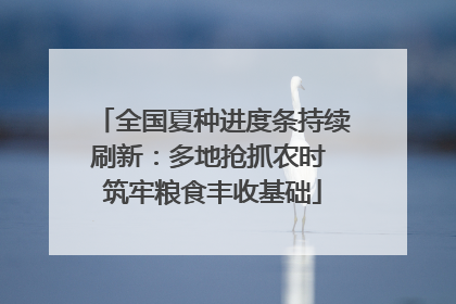 全国夏种进度条持续刷新：多地抢抓农时 筑牢粮食丰收基础