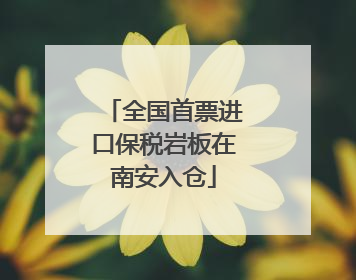 全国首票进口保税岩板在南安入仓