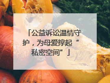 公益诉讼温情守护，为母爱撑起“私密空间”