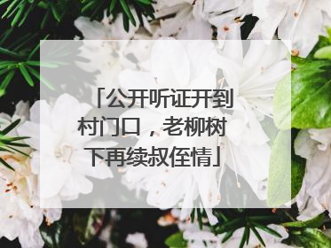 公开听证开到村门口，老柳树下再续叔侄情