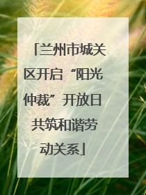 兰州市城关区开启“阳光仲裁”开放日 共筑和谐劳动关系