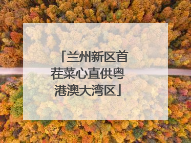 兰州新区首茬菜心直供粤港澳大湾区