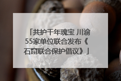 共护千年瑰宝 川渝55家单位联合发布《石窟联合保护倡议》