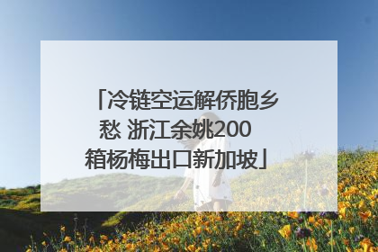 冷链空运解侨胞乡愁 浙江余姚200箱杨梅出口新加坡