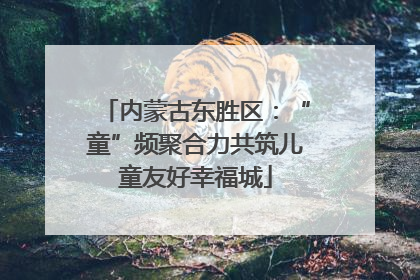 内蒙古东胜区：“童”频聚合力共筑儿童友好幸福城