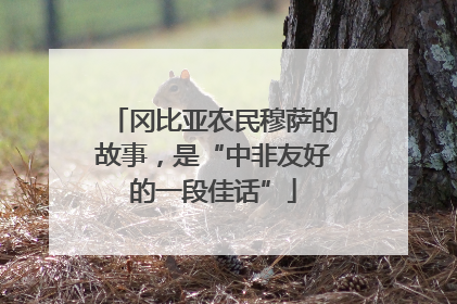 冈比亚农民穆萨的故事，是“中非友好的一段佳话”