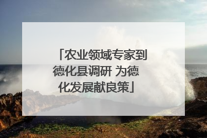 农业领域专家到德化县调研 为德化发展献良策