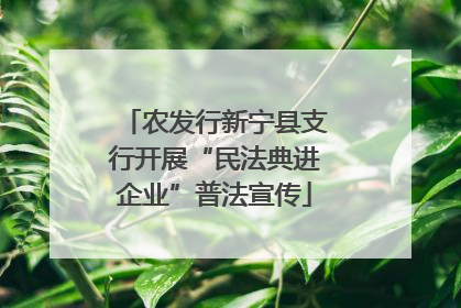 农发行新宁县支行开展“民法典进企业”普法宣传