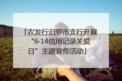 农发行汨罗市支行开展“6·14信用记录关爱日”主题宣传活动
