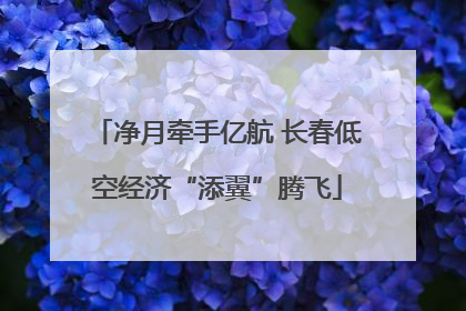 净月牵手亿航 长春低空经济“添翼”腾飞