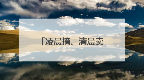 凌晨摘、清晨卖，江北“杨梅自由一条街”藏着最甜的烟火气