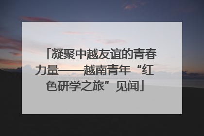 凝聚中越友谊的青春力量——越南青年“红色研学之旅”见闻
