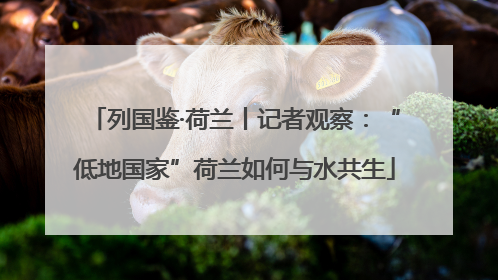 列国鉴·荷兰丨记者观察：“低地国家”荷兰如何与水共生