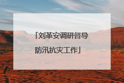 刘革安调研督导防汛抗灾工作