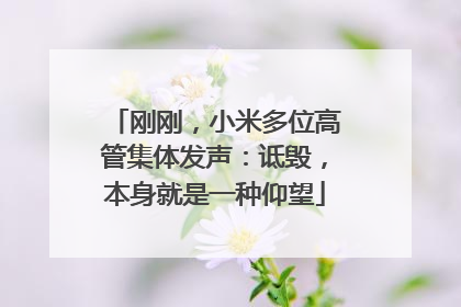 刚刚，小米多位高管集体发声：诋毁，本身就是一种仰望