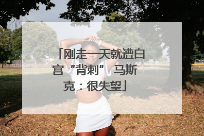 刚走一天就遭白宫“背刺” 马斯克：很失望