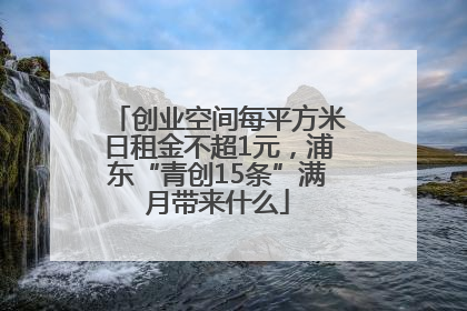 创业空间每平方米日租金不超1元，浦东“青创15条”满月带来什么