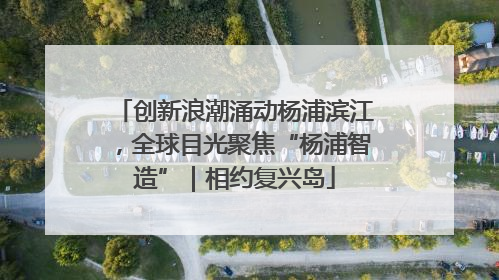 创新浪潮涌动杨浦滨江，全球目光聚焦“杨浦智造”｜相约复兴岛