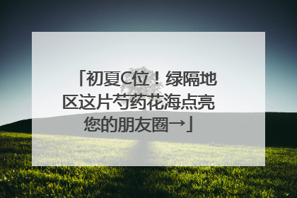 初夏C位！绿隔地区这片芍药花海点亮您的朋友圈→