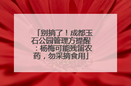 别摘了！成都玉石公园管理方提醒：杨梅可能残留农药，勿采摘食用