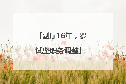 副厅16年，罗试坚职务调整