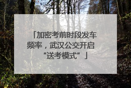 加密考前时段发车频率，武汉公交开启“送考模式”