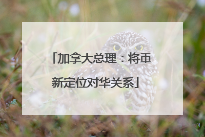 加拿大总理：将重新定位对华关系
