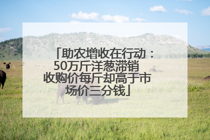 助农增收在行动：50万斤洋葱滞销 收购价每斤却高于市场价三分钱