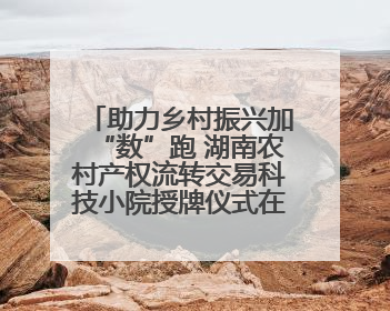 助力乡村振兴加“数”跑 湖南农村产权流转交易科技小院授牌仪式在长沙举行