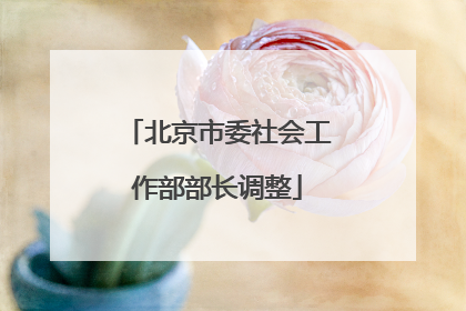 北京市委社会工作部部长调整