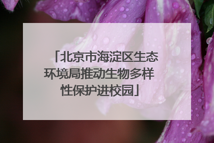 北京市海淀区生态环境局推动生物多样性保护进校园