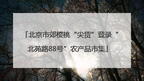 北京市郊樱桃“尖货”登录“北苑路88号”农产品市集