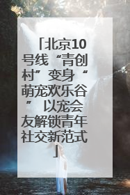 北京10号线“青创村”变身“萌宠欢乐谷” 以宠会友解锁青年社交新范式