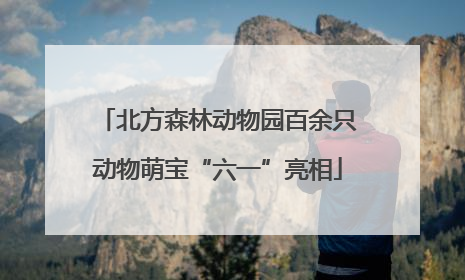 北方森林动物园百余只动物萌宝“六一”亮相