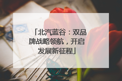 北汽蓝谷：双品牌战略领航，开启发展新征程