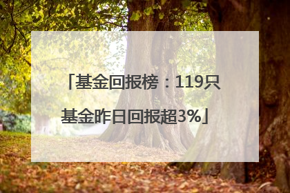 基金回报榜：119只基金昨日回报超3%