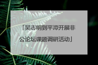 吴志明到平潭开展非公论坛课题调研活动