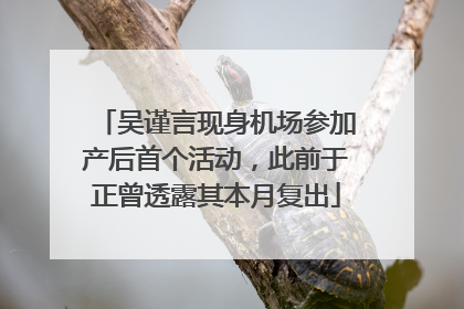 吴谨言现身机场参加产后首个活动，此前于正曾透露其本月复出